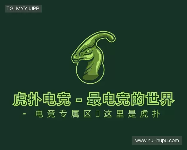 关于虎扑电竞